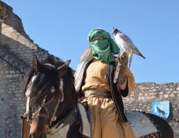 Les Aigles des Remparts, spectacle historique à Provins