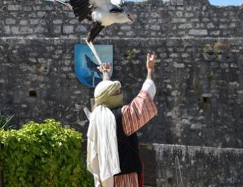 Les Aigles des Remparts, spectacle historique à Provins