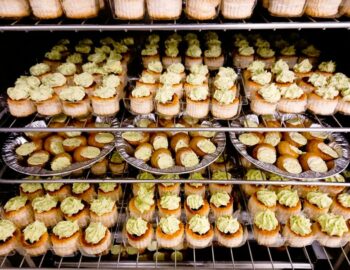 L'Escargot de France Janic_Pamfou_77
