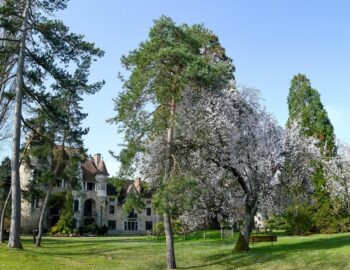 Château des Dames