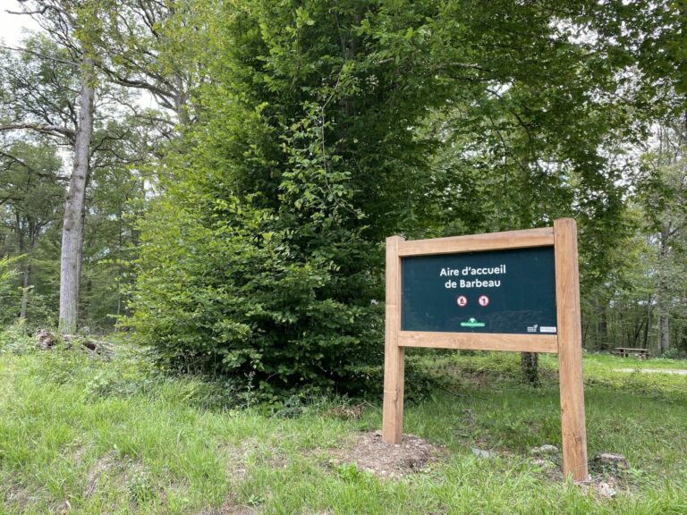 Forêt de Barbeau