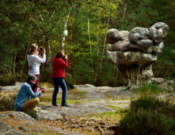 Foret de Fontainebleau