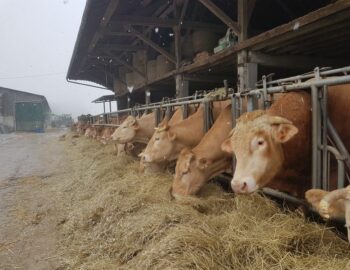 Ferme de la Recette