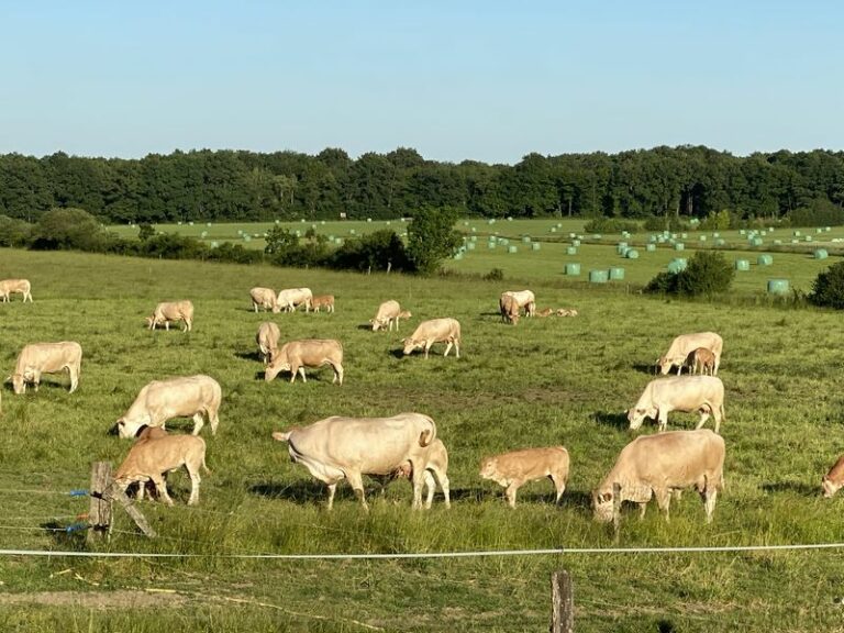 Ferme de la Recette