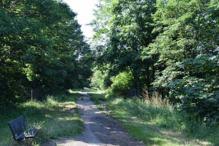 Allée Jehan Michel à Chaumes-en-Brie