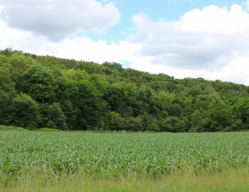 Route de Barbeau