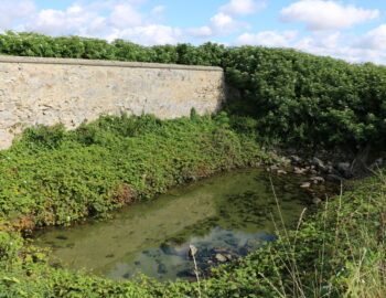 Ruines de l'ancienne fontaine publique