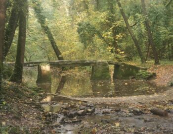 Pont du Violon