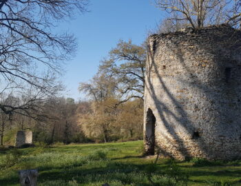 Domaine d'Aiguillon