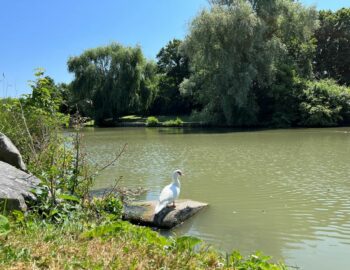 Parc Sainte-Reine