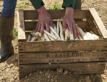 Ferme de Coubert