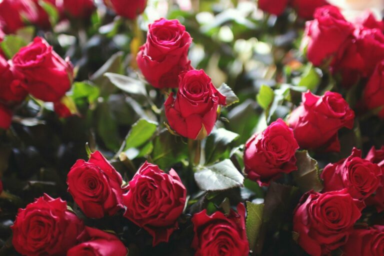 Fleuriste