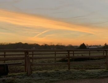 Les Écuries d'Arion_Grisy-Suisnes