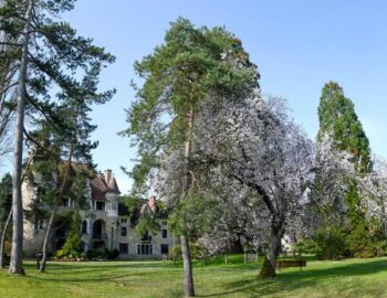 Le Châtelet-en-Brie
