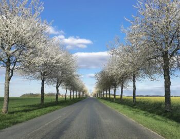 Commune de Champeaux_77
