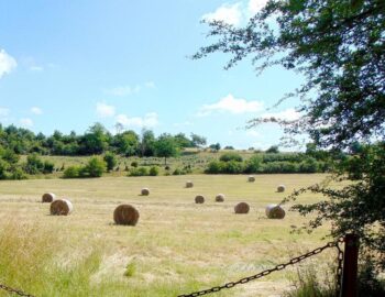 Vallée Javot Machault_77