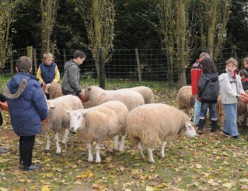Ferme pédagogique de St-Hilliers