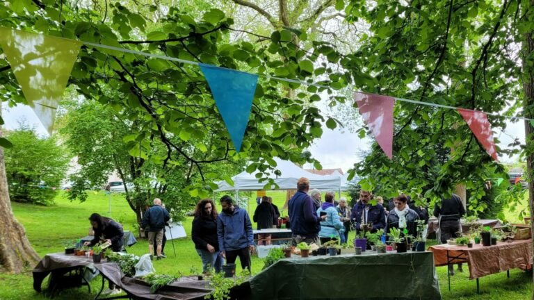 Association Comité des Fêtes de Fontaine-le-Port : une facette verte