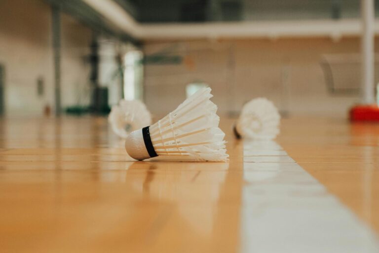 Badminton Club de Guignes - BCG_Guignes